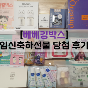 베베킹박스.png